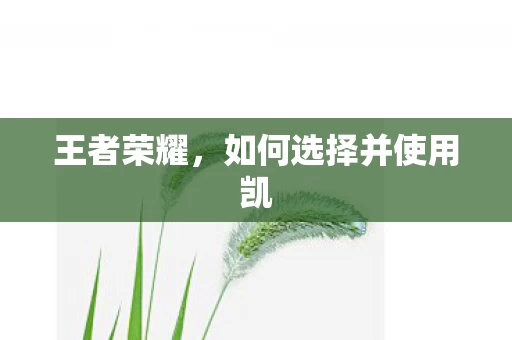 如何选择并使用凯图片