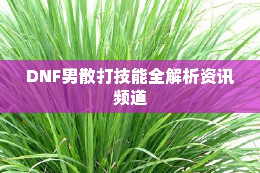 DNF男散打技能全解析资讯频道图片