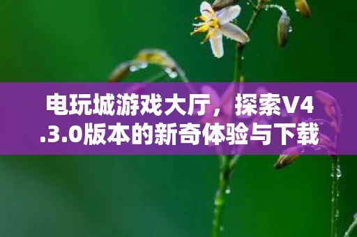 0版本的新奇体验与下载指南图片
