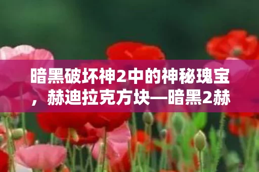 暗黑破坏神2中的神秘瑰宝图片