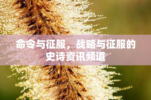战略与征服的史诗资讯频道图片