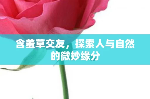 探索人与自然的微妙缘分图片