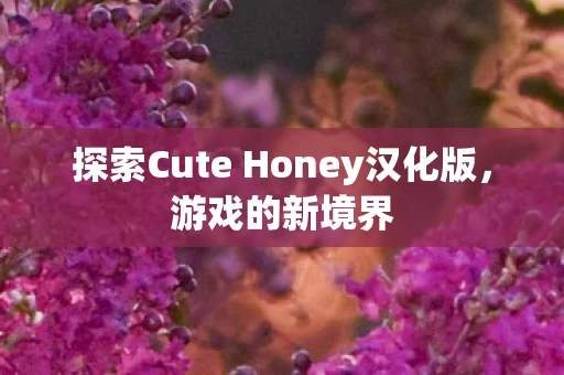 探索Cute Honey汉化版图片