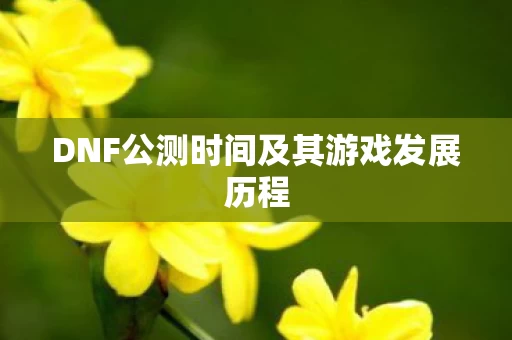 DNF公测时间及其游戏发展历程图片