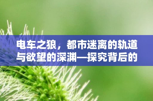都市迷离的轨道与欲望的深渊图片