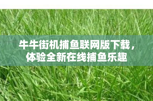 牛牛街机捕鱼联网版下载图片