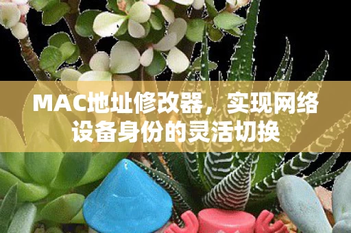 实现网络设备身份的灵活切换图片