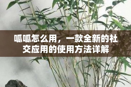 一款全新的社交应用的使用方法详解图片
