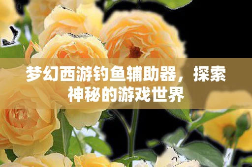 梦幻西游钓鱼辅助器图片