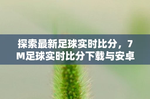 7M足球实时比分下载与安卓版体验图片