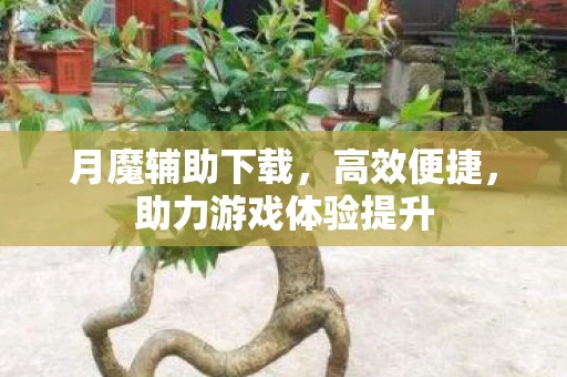 助力游戏体验提升图片