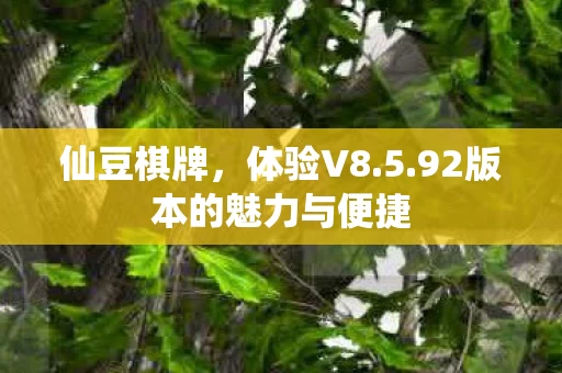 92版本的魅力与便捷图片