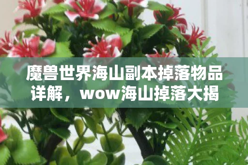 魔兽世界海山副本掉落物品详解图片
