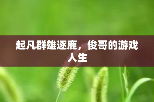 俊哥的游戏人生图片