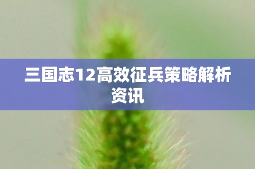 三国志12高效征兵策略解析资讯图片