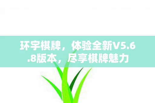体验全新V5图片