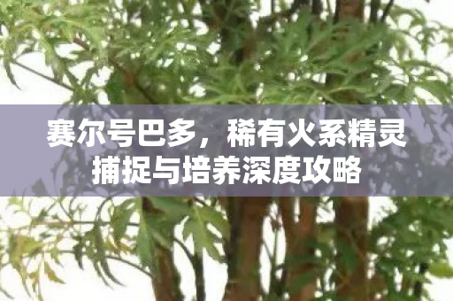 稀有火系精灵捕捉与培养深度攻略图片