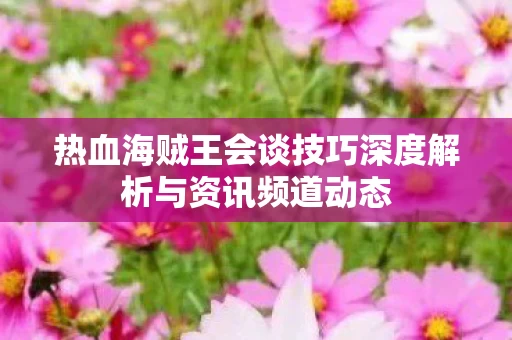 热血海贼王会谈技巧深度解析与资讯频道动态图片