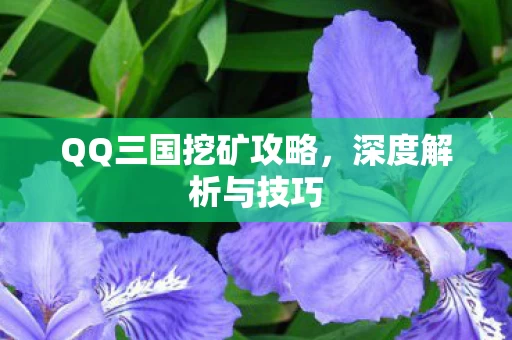 QQ三国挖矿攻略图片
