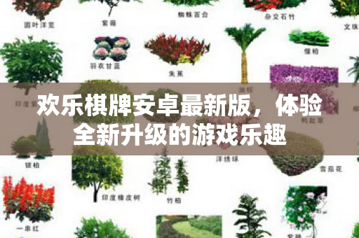 体验全新升级的游戏乐趣图片