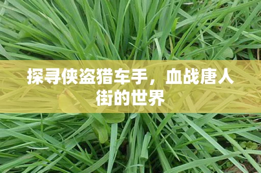 血战唐人街的世界图片