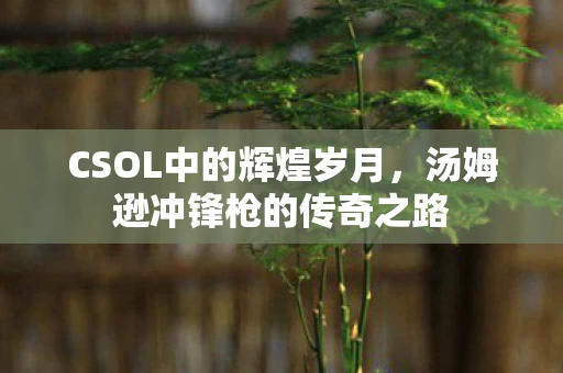 汤姆逊冲锋枪的传奇之路图片