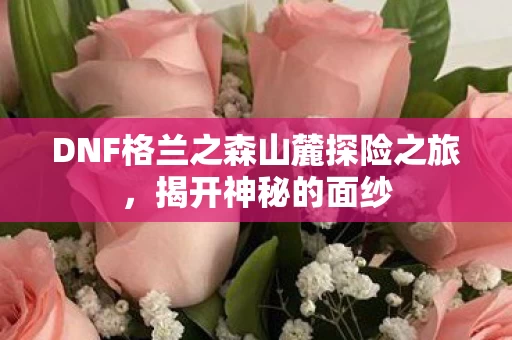 DNF格兰之森山麓探险之旅图片