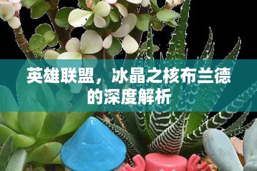 冰晶之核布兰德的深度解析图片
