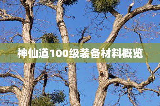 神仙道100级装备材料概览图片