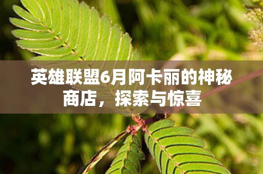 英雄联盟6月阿卡丽的神秘商店图片