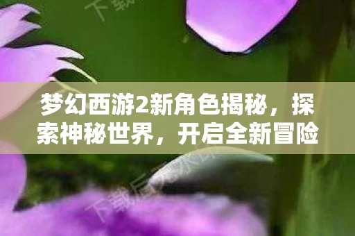 梦幻西游2新角色揭秘图片