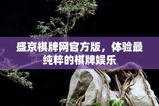 体验最纯粹的棋牌娱乐图片