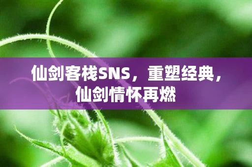 仙剑客栈SNS图片