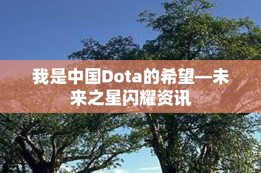 我是中国Dota的希望图片