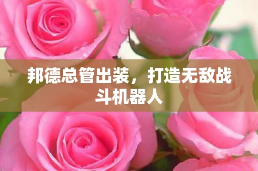 打造无敌战斗机器人图片