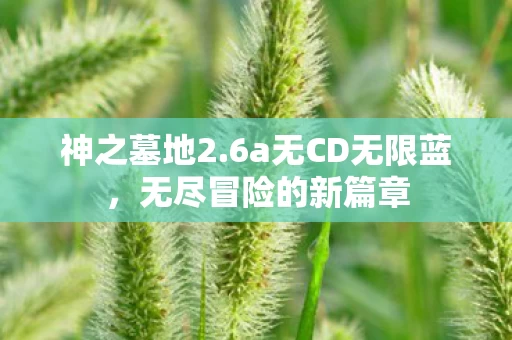 6a无CD无限蓝图片