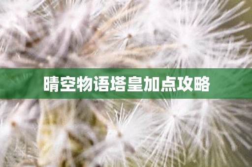 晴空物语塔皇加点攻略图片