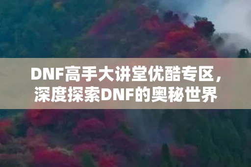 DNF高手大讲堂优酷专区图片