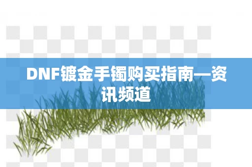 DNF镀金手镯购买指南图片