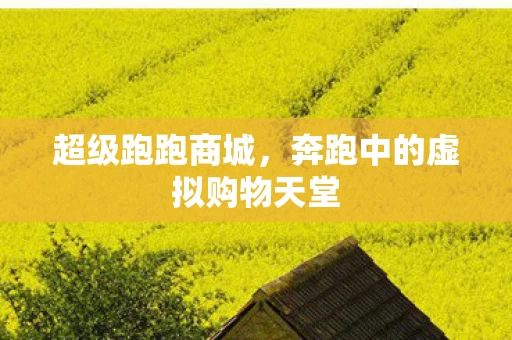 奔跑中的虚拟购物天堂图片