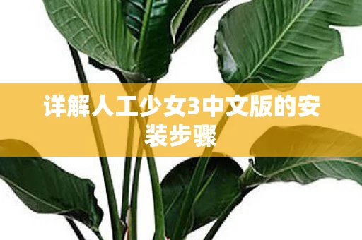 详解人工少女3中文版的安装步骤图片