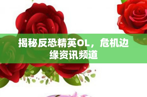 揭秘反恐精英OL图片