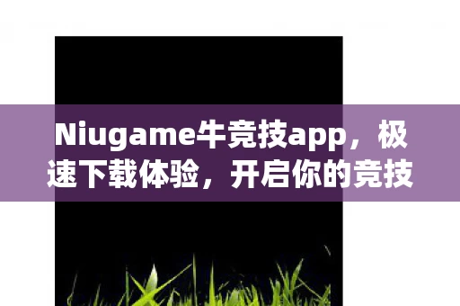 Niugame牛竞技app图片