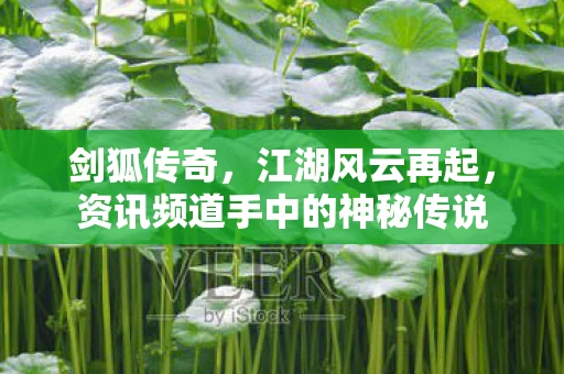 资讯频道手中的神秘传说图片
