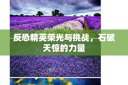 反恐精英荣光与挑战图片