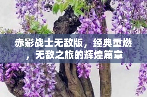 无敌之旅的辉煌篇章图片