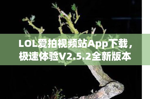 LOL爱拍视频站App下载图片