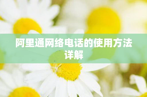 阿里通网络电话的使用方法详解图片