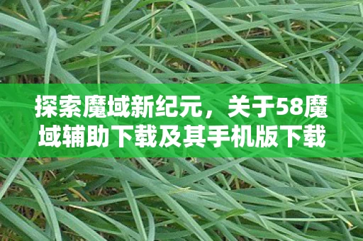 关于58魔域辅助下载及其手机版下载指南图片