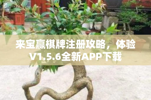 来宝赢棋牌注册攻略图片